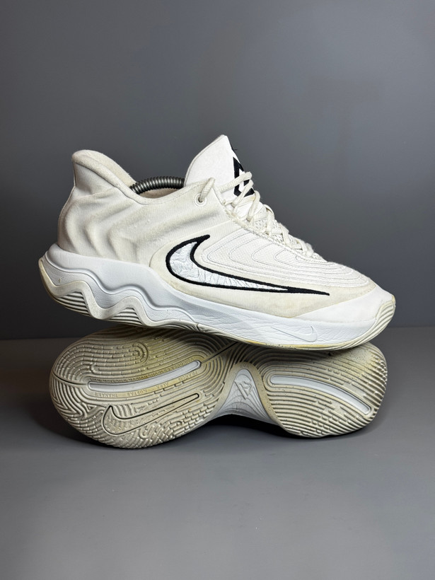 کفش بسکتبال والیبال Nike Giannis 4 اورجینال